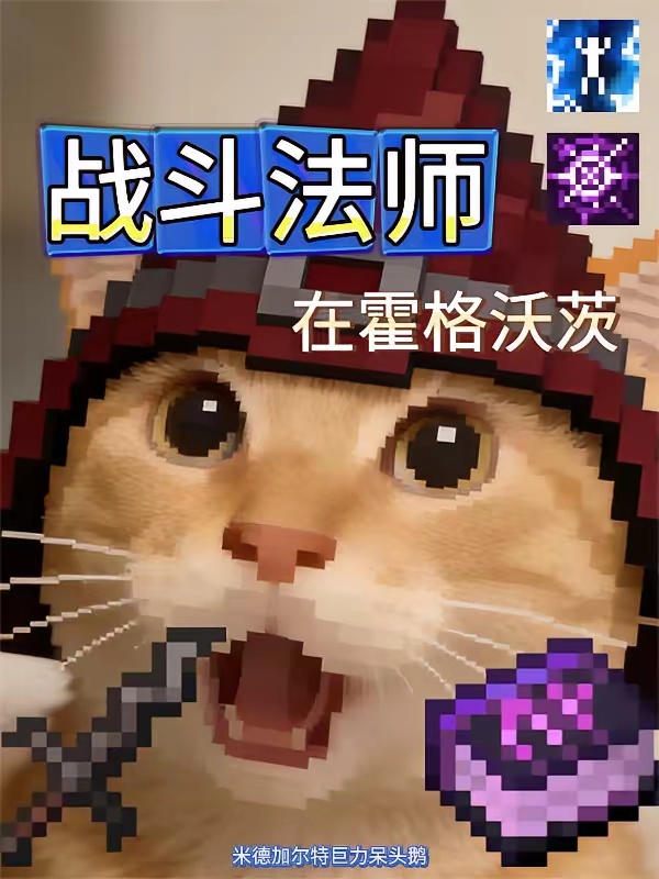 战斗法师在霍格沃茨